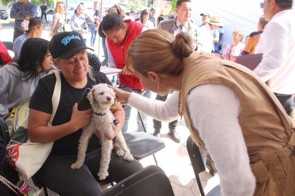 Caravana por el Bienestar Animal en Toluca con esterilizaciones, consultas y adopción gratuita