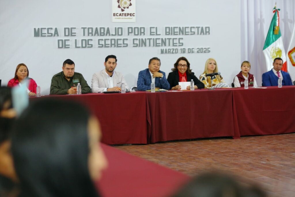 Azucena Cisneros rechaza sacrificio de perros y anuncia creación de Célula de Protección Animal