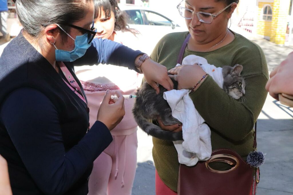 Edoméx alcanza más del 95 por ciento en vacunación antirrábica canina y felina