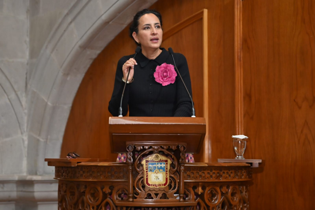 Feminicidios exigen una coordinación real: Ana Yurixi Leyva