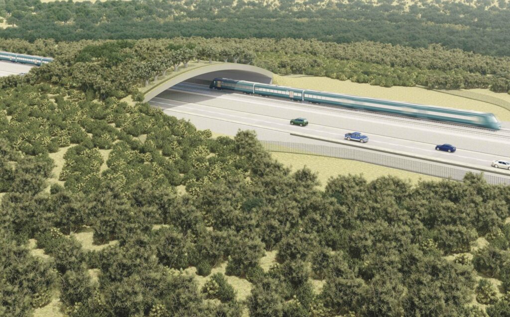 Buscan que nuevas carreteras y autopistas incluyan pasos de fauna