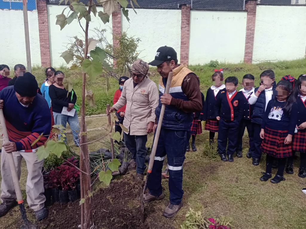 Suman once árboles de las manitas plantados