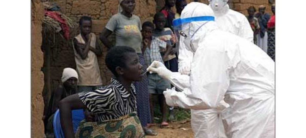 En África: notifican brotes previos y casos esporádicos del virus de Marburgo