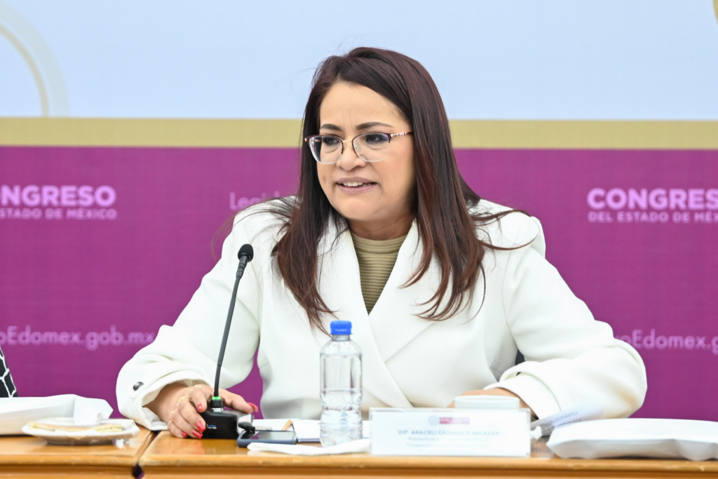 Urgen medidas vanguardistas en rendición de cuentas: Araceli Casasola