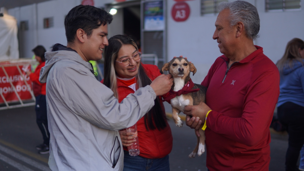 Recomienda Cepanaf la adopción responsable de animales de compañía