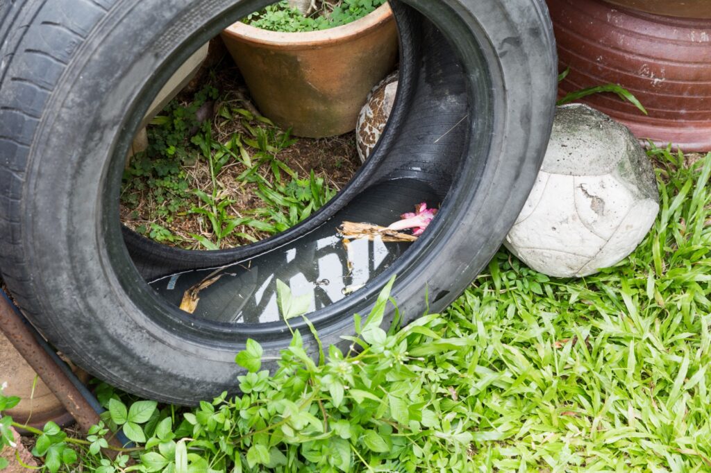 Alertan por dengue, zika y chikungunya, piden reforzar prevención