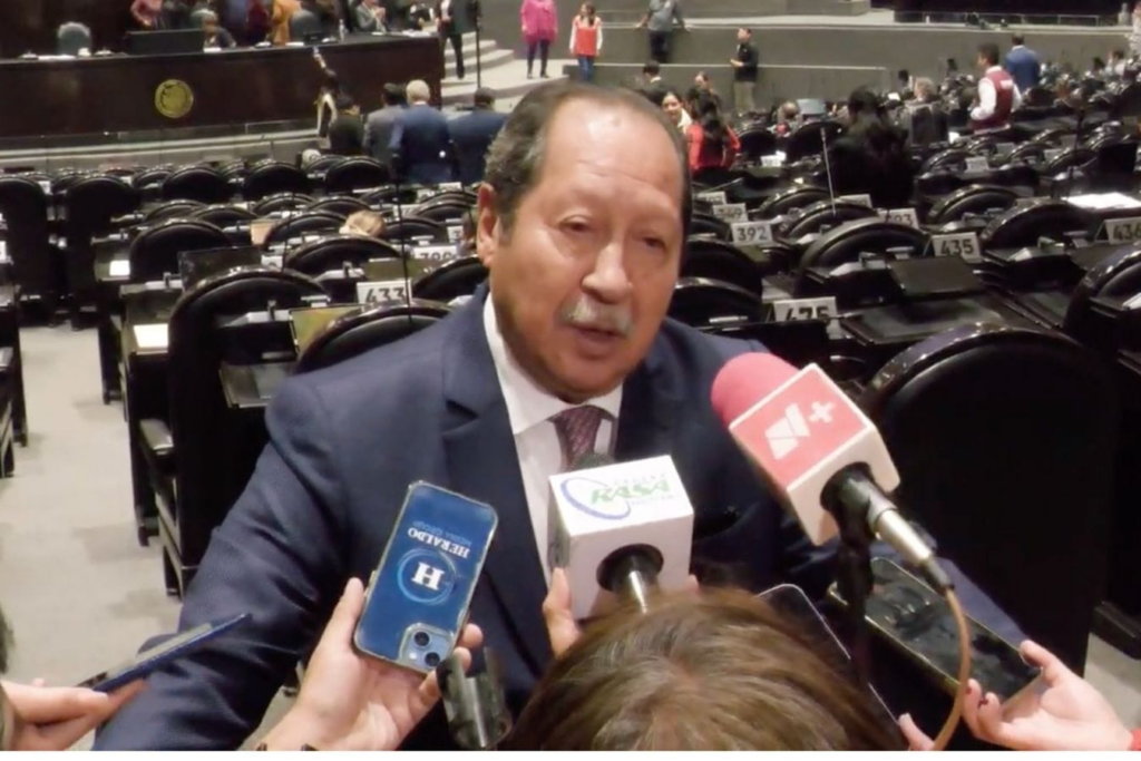 Reforma sobre revocación de mandato se trabajará bien: Leonel Godoy