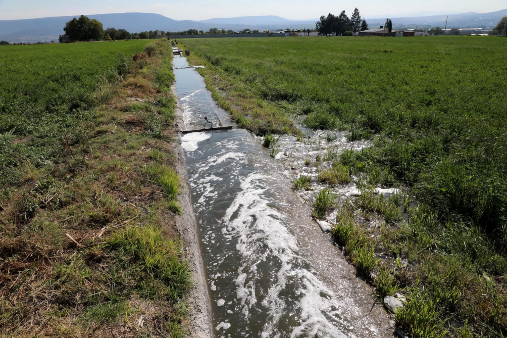 El sector agrícola se fortalece con programa Transformando el Campo