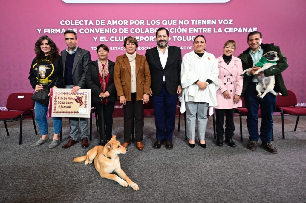 Instala Gobernadora Delfina Gómez centro de acopio de alimento para lomitos y michis
