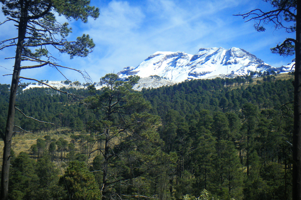 Implementa Edoméx Estrategia de Restauración Hidrológico-Forestal 2025