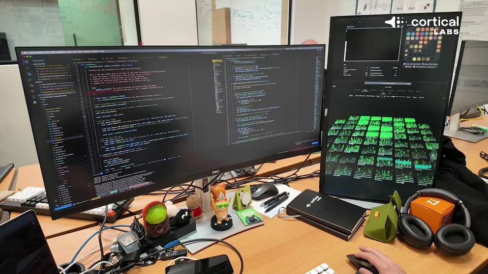 ¡Con neuronas humanas! Crean computadora que aprende sola