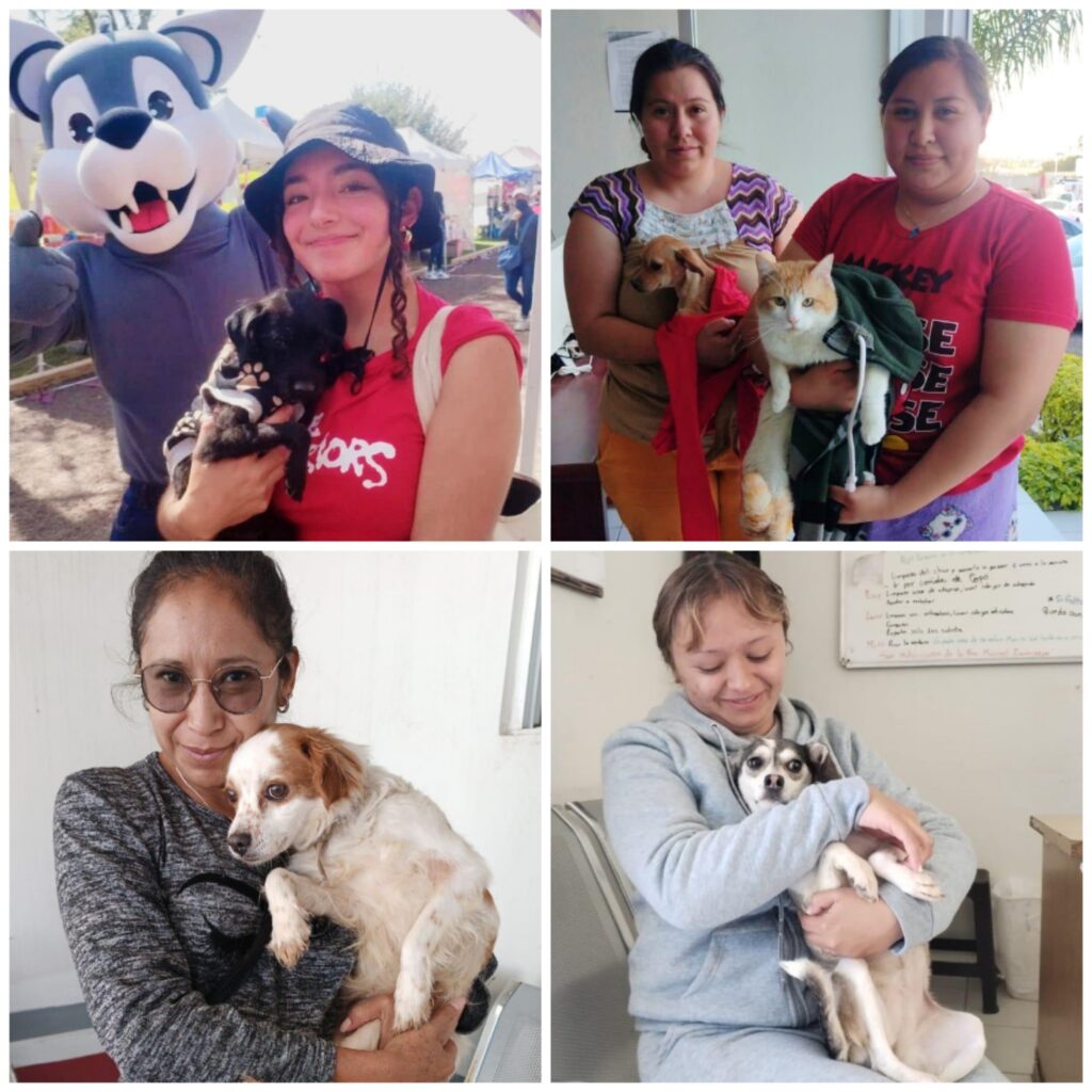 Continúan Campaña de Adopción Responsable de Perros y Gatos en Tecámac