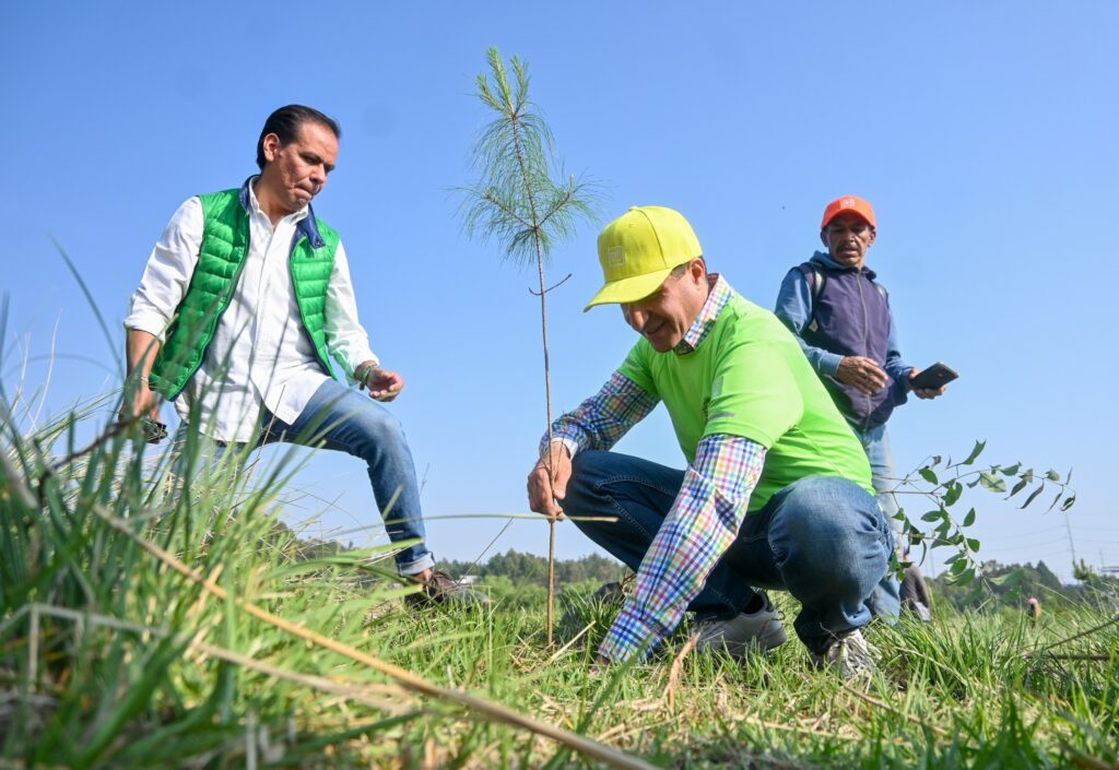 Inicia en Toluca Jornada de Forestación 2024
