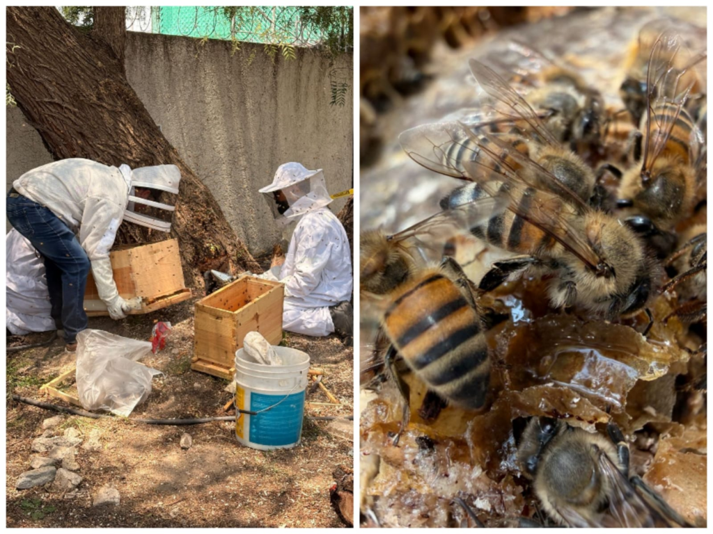 Tecámac se consolida como referente en protección de la Biodiversidad