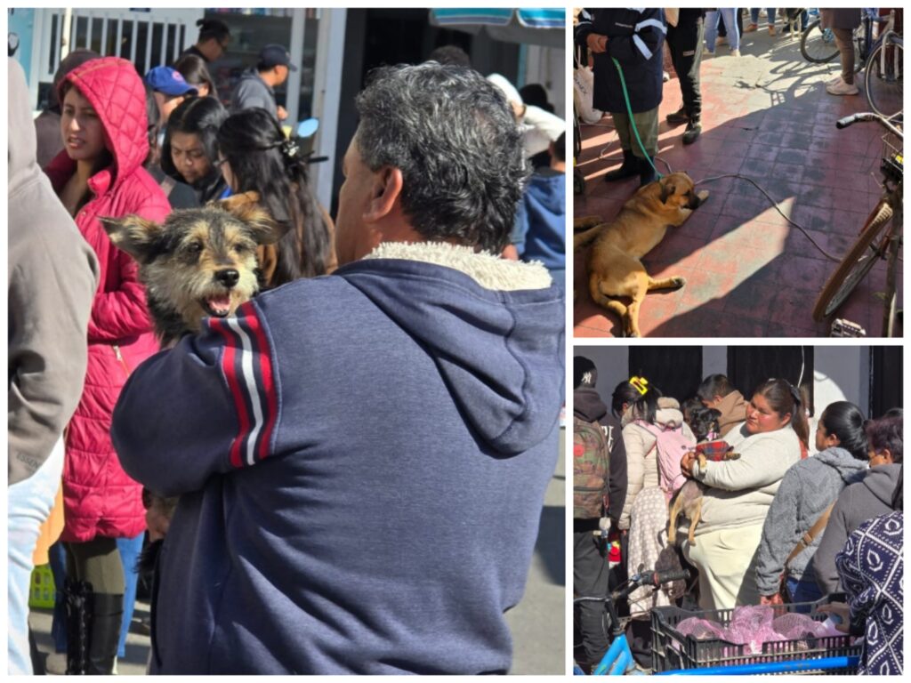 Responde la ciudadanía al llamado del alcalde Ricardo Moreno para procurar el bienestar animal