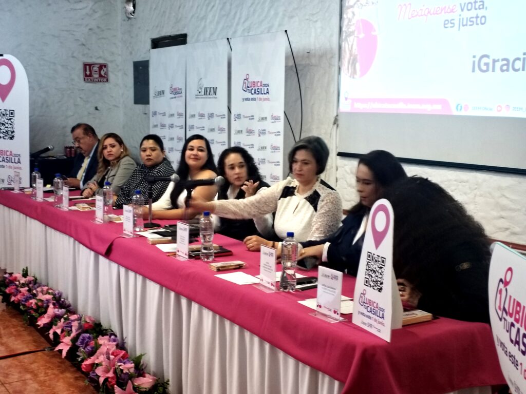 Votos de elección judicial serán contados por ciudadanos: Amalia Pulido