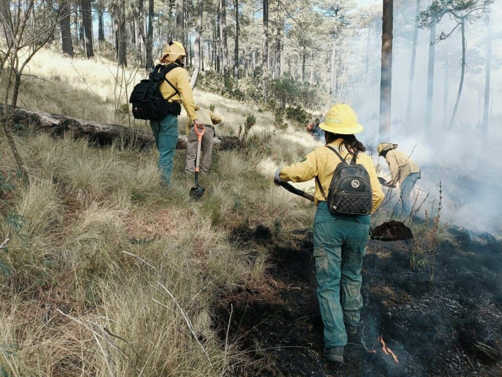 Tres combatientes lesionados en incendio forestal en zona del Nevado de Toluca