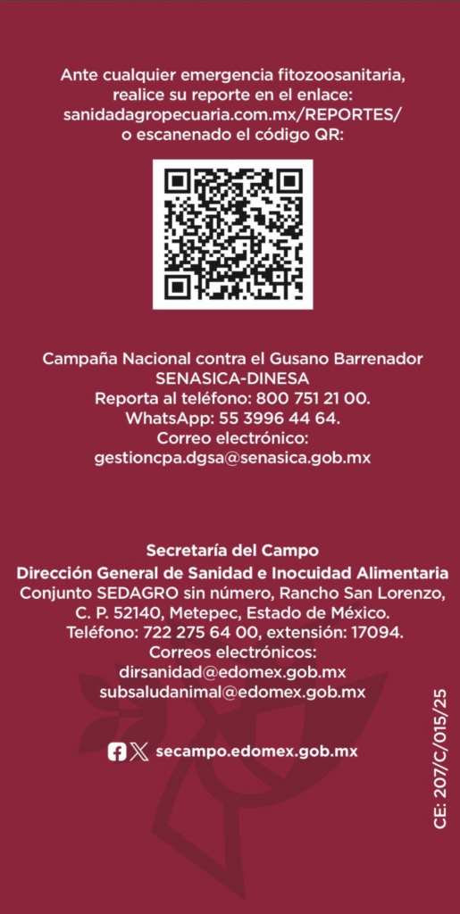 Refuerzan estrategia contra gusano barrenador, tras un caso detectado en Tlatlaya