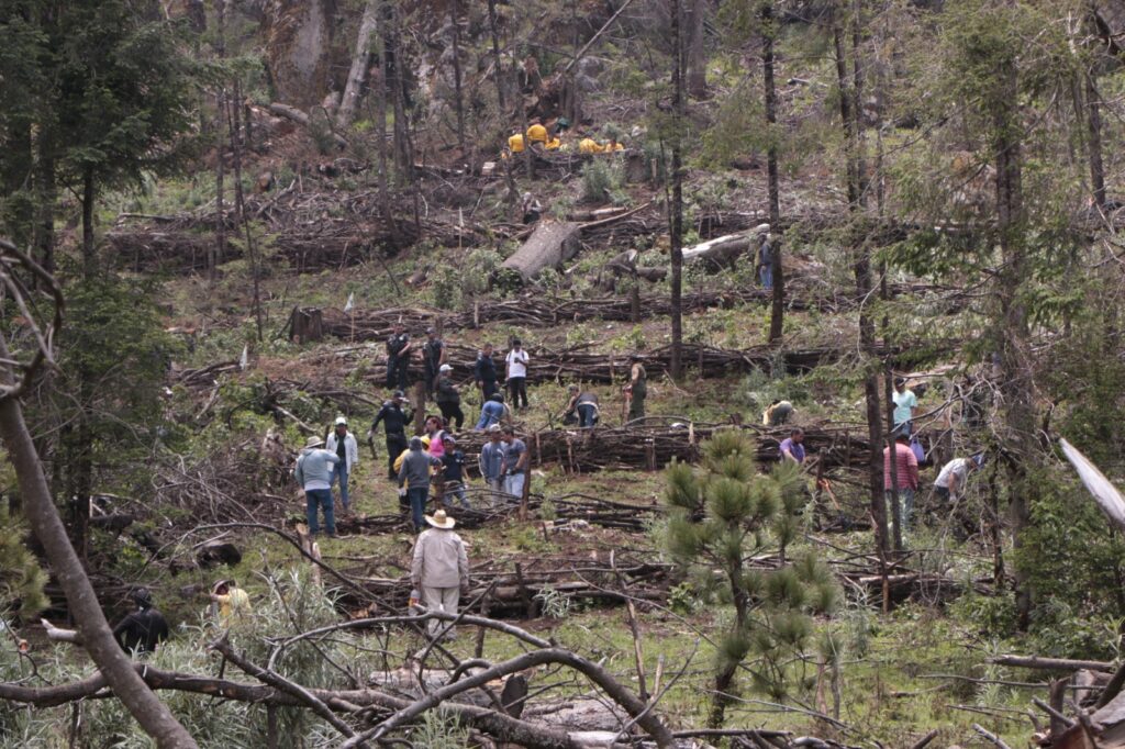 Efectúan Jornada para prevenir afectaciones por lluvias en zonas forestales
