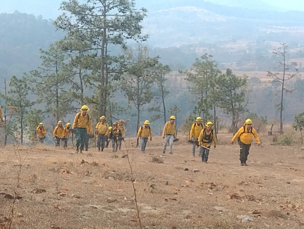 Continúa combate de incendio forestal en El Peñón en Temascaltepec