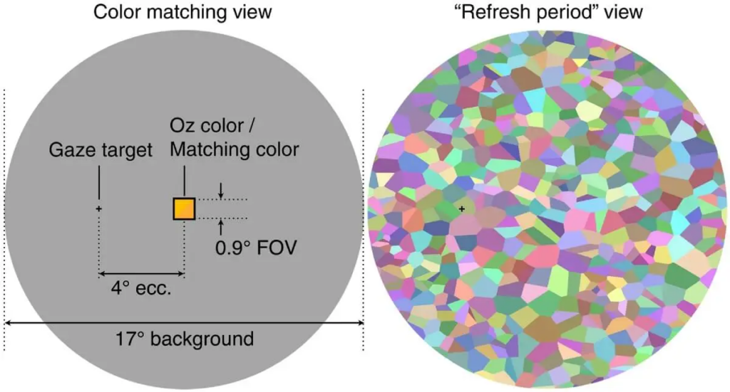 Científicos descubren color olo nunca antes visto por los humanos