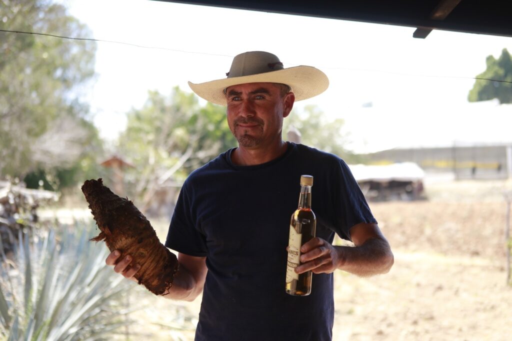 Celebra Edoméx el Día Internacional del Mezcal