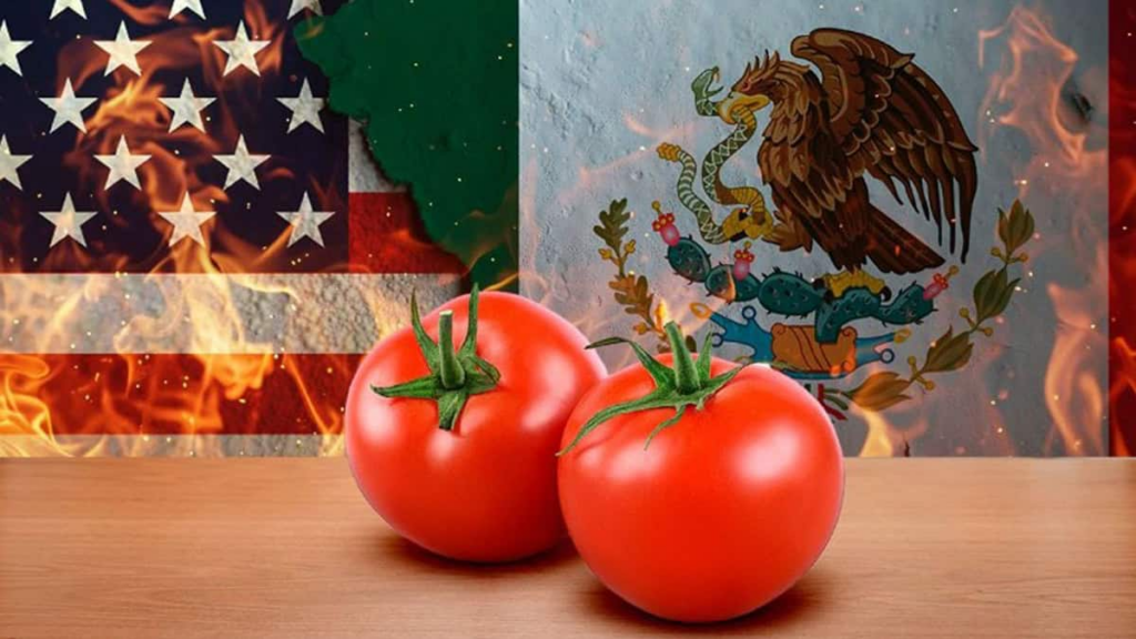 Exportarán el jitomate, pese a arancel impuesto