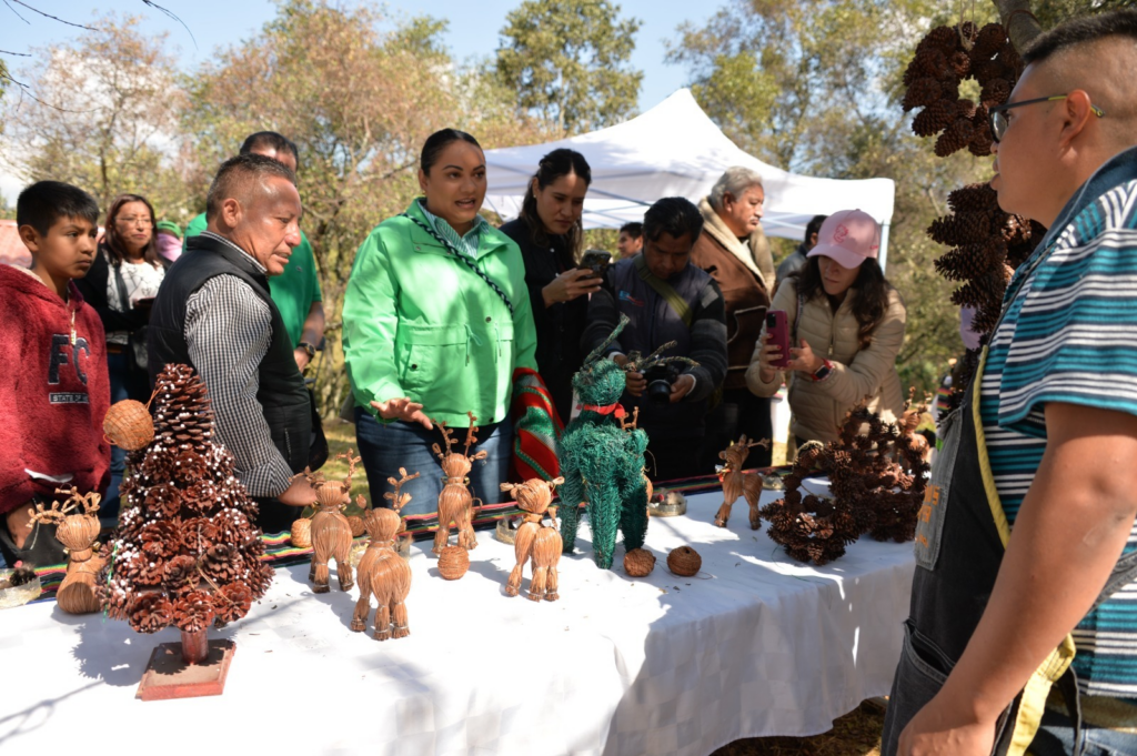 Esta Navidad decora tu hogar con árboles naturales y artesanías del municipio de Xonacatlán