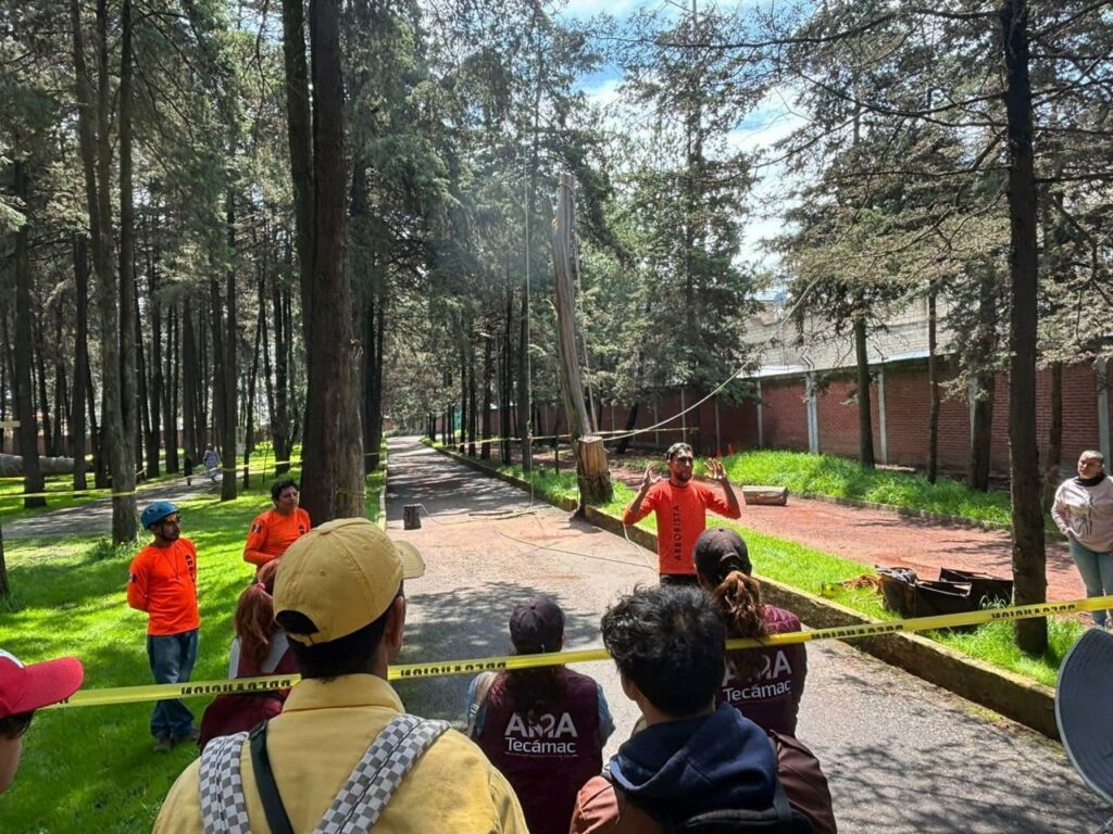 Obtiene Gobierno de Tecámac certificación sobre arbolado y manejo de áreas verdes