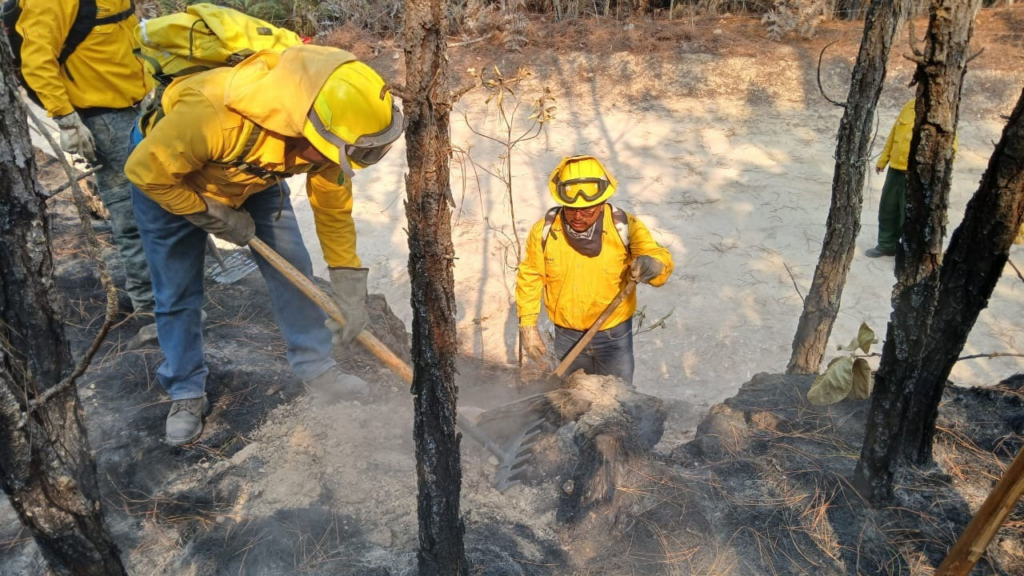 ¡Por fin! Liquidan incendio forestal en Sierra de Nanchititla; atienden otro en Tlatlaya