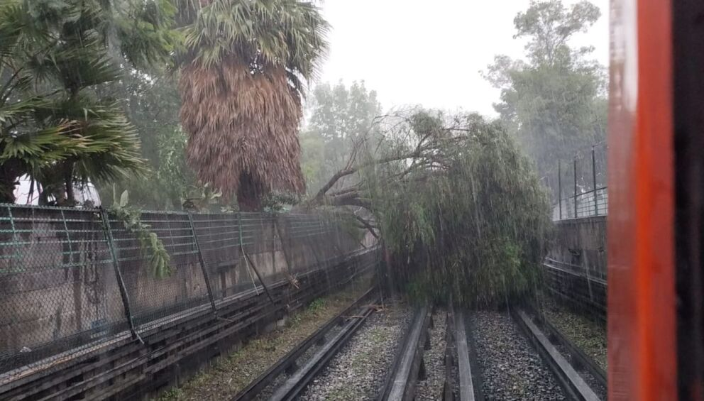 Sin servicio línea 5 del Metro por caída de árbol en la CDMX