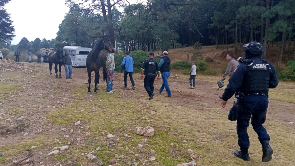 Localizan en bosques de Acambay, caballo perdido valuado en casi un millón de pesos