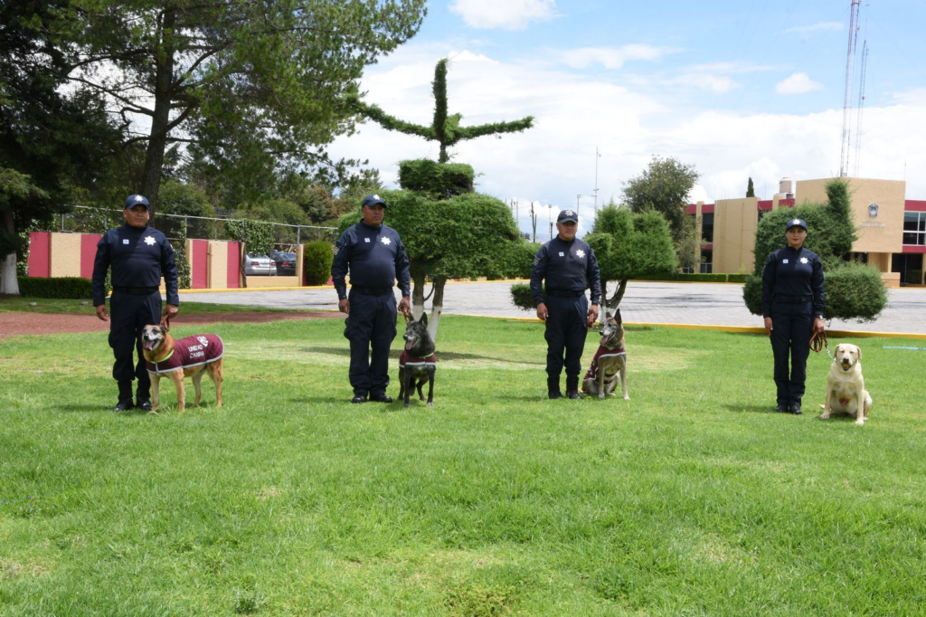 SSEM cuida el bienestar de perros geriátricos y en proceso de jubilación; concluyen sus sueños de servicio