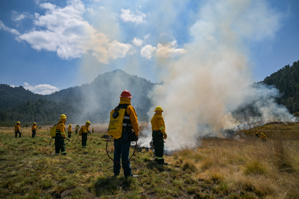 Capacitan a brigadistas ejidales, comunales y voluntarios para combatir el fuego de manera segura