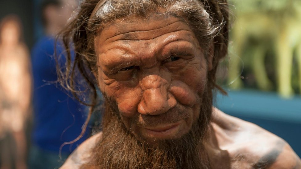 Revelan que los neandertales no se extinguieron, fueron asimilados por los Homo sapiens