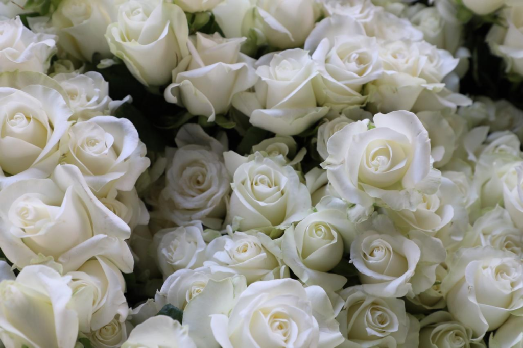 Se unen floricultores mexiquenses al fervor Guadalupano