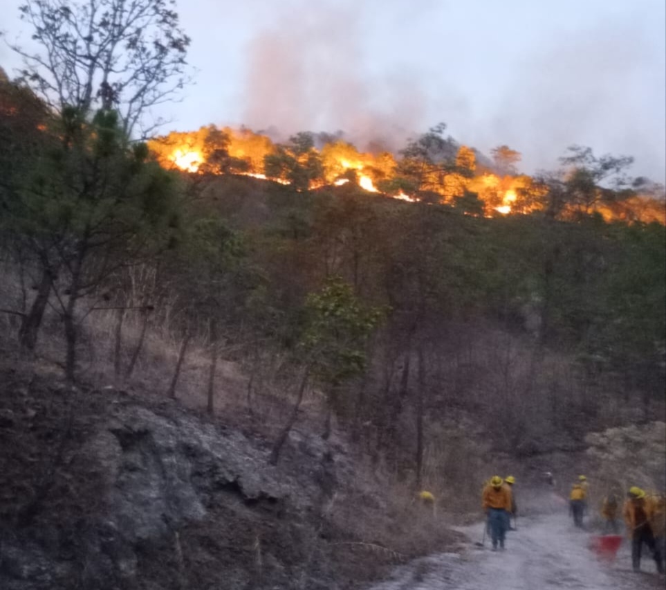 Arde la Sierra de Nanchititla en Luvianos