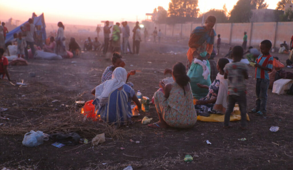 Solicita la OMS mil 500 mdd para enfrentar emergencias humanitarias en 2025