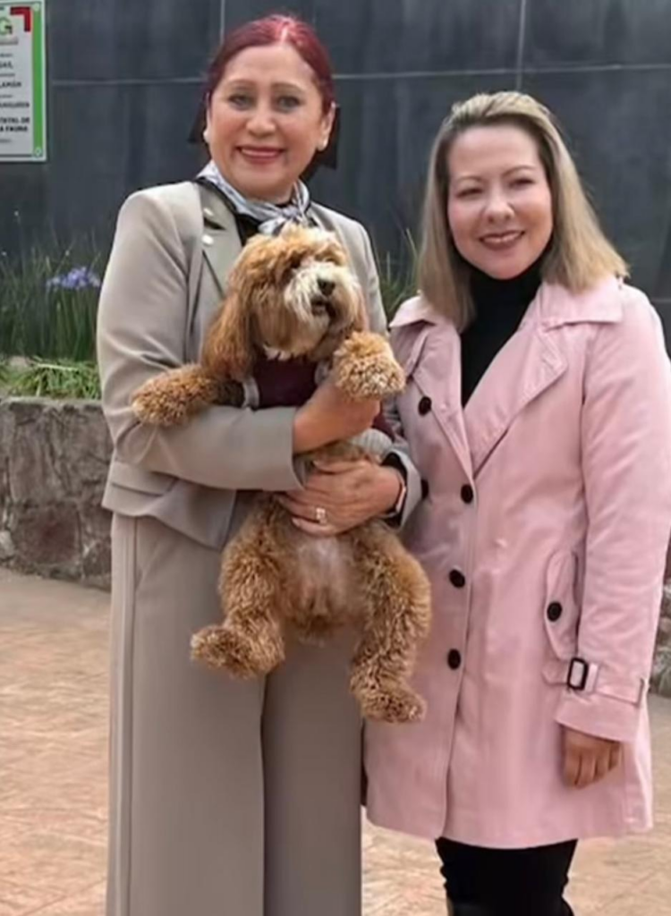Con respaldo estatal, la alcaldesa Rosi Wong impulsa estrategia a favor del bienestar animal en Tecámac