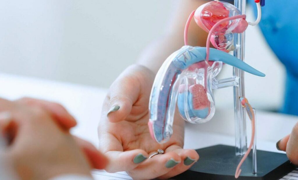 Cofepris autoriza molécula nueva para tratar cáncer de próstata