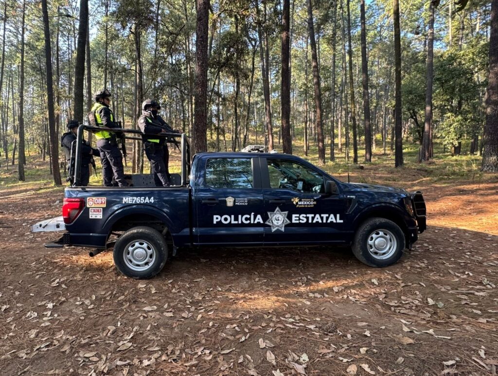 Bosques del Edomex bajo resguardo para preservar migración de mariposas monarca