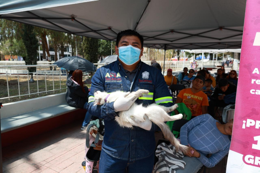 Anuncia gobierno de Tecámac jornadas de esterilización gratuita