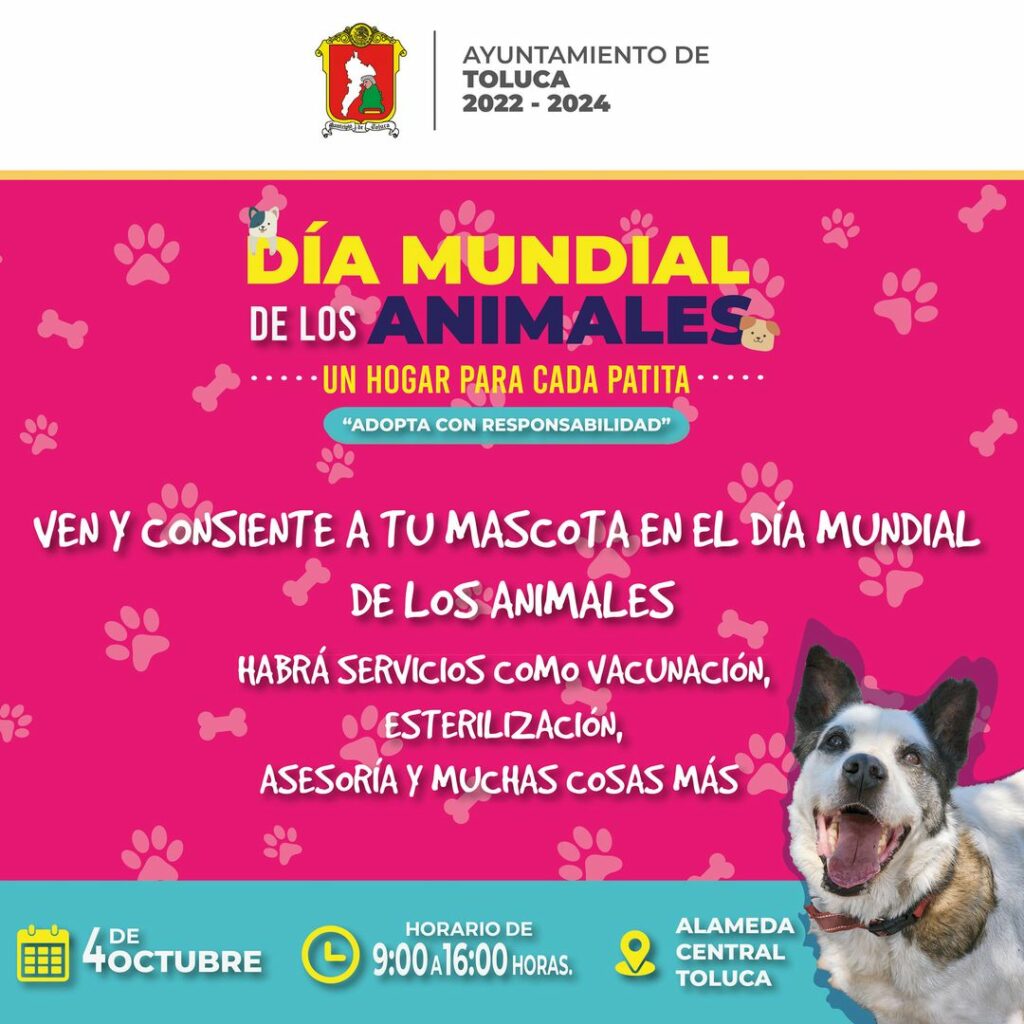 Celebrará Toluca el Día Mundial de los Animales