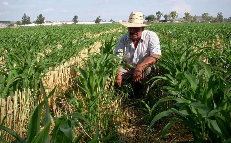 Lista nueva convocatoria para el programa “Por el Rescate del Campo”