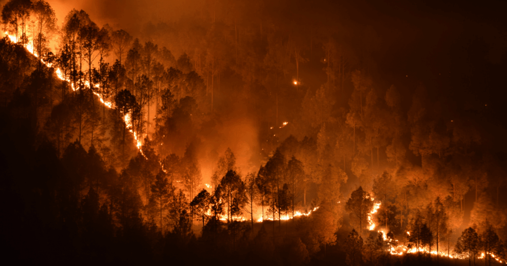 Delito ambiental con agravantes: van por hasta 18 años de prisión por incendios forestales