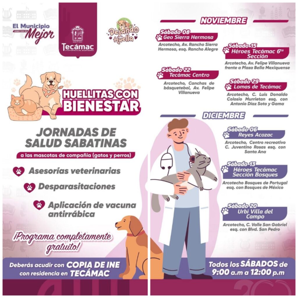 Este sábado “Huellitas con Bienestar” en Tecámac, atención gratuita a perros y gatos