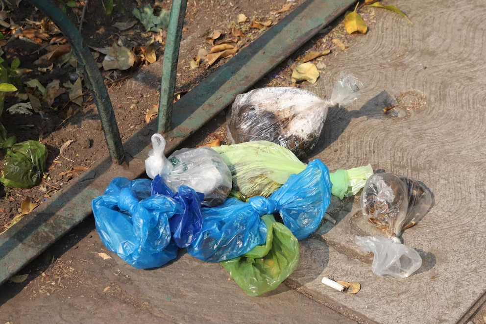 Cómo desechar las heces de mascotas correctamente en CDMX