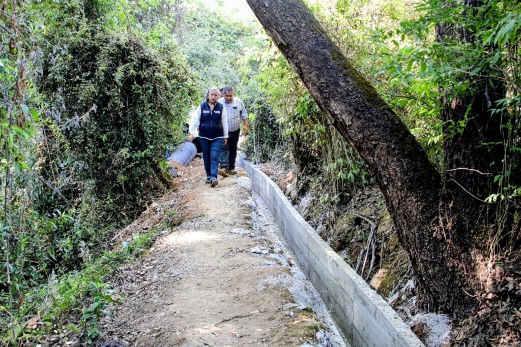 Productores de fresa y flor aseguran agua para sus cultivos gracias a rehabilitación de canales