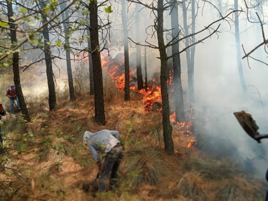 Emite Toluca recomendaciones para prevenir incendios forestales