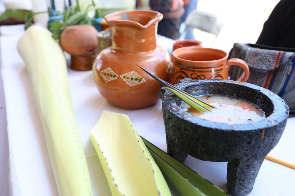 Edoméx, tercer lugar nacional en producción de pulque